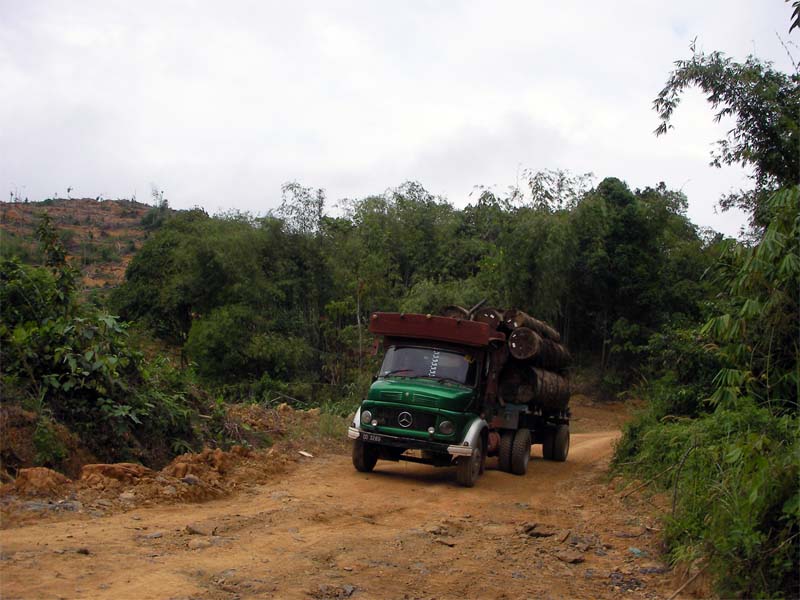 A timber truck carrying logs along a road in Kelantan between 2016 and 2020